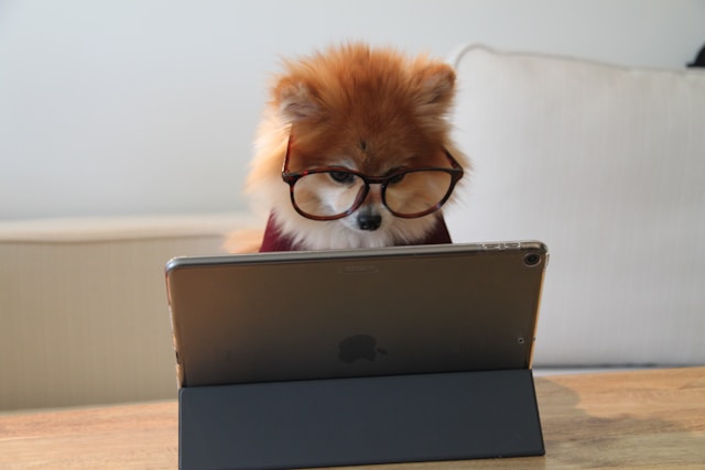 Computer Repair Technician in Ascot, Berkshire